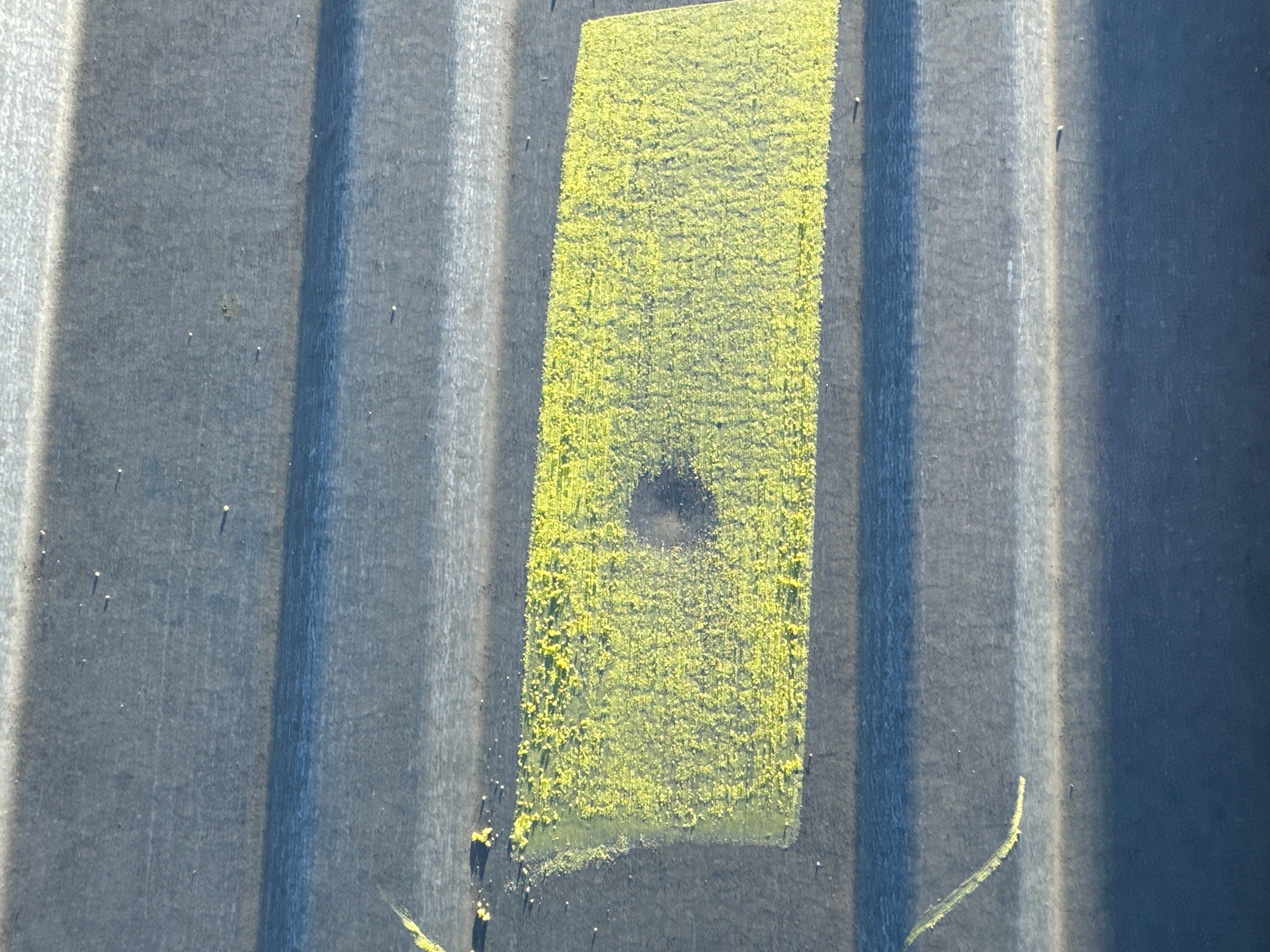 Chalked Metal Roof Hail Damage