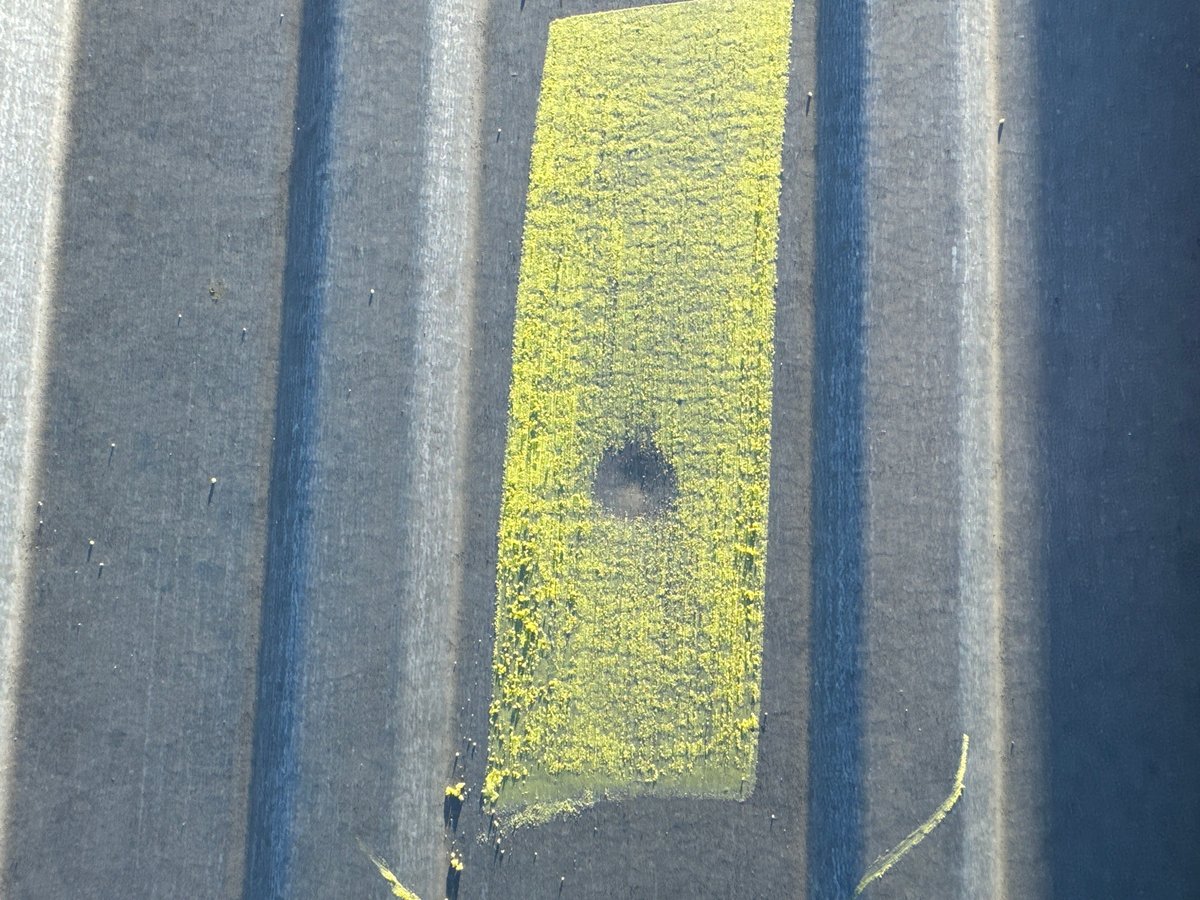 Chalked Metal Roof Hail Damage